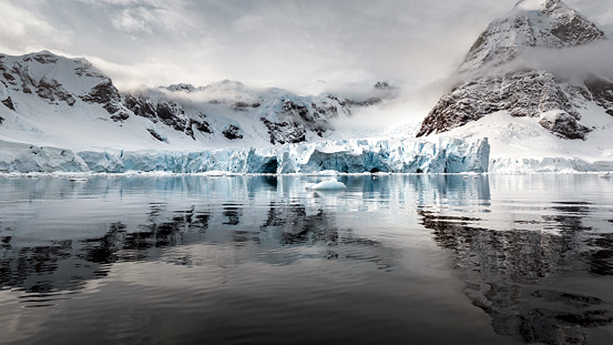 Discovery of Life inside Antarctica