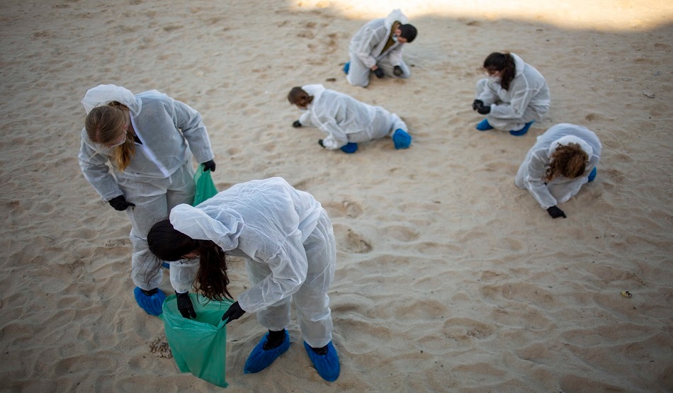 टार में लिपटा मिला कछुआ