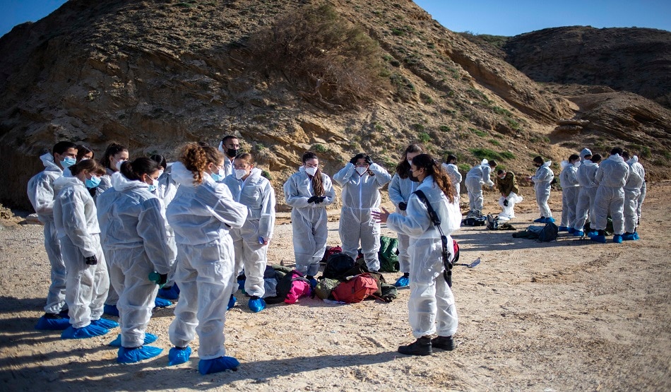 टार में लिपटा मिला कछुआ