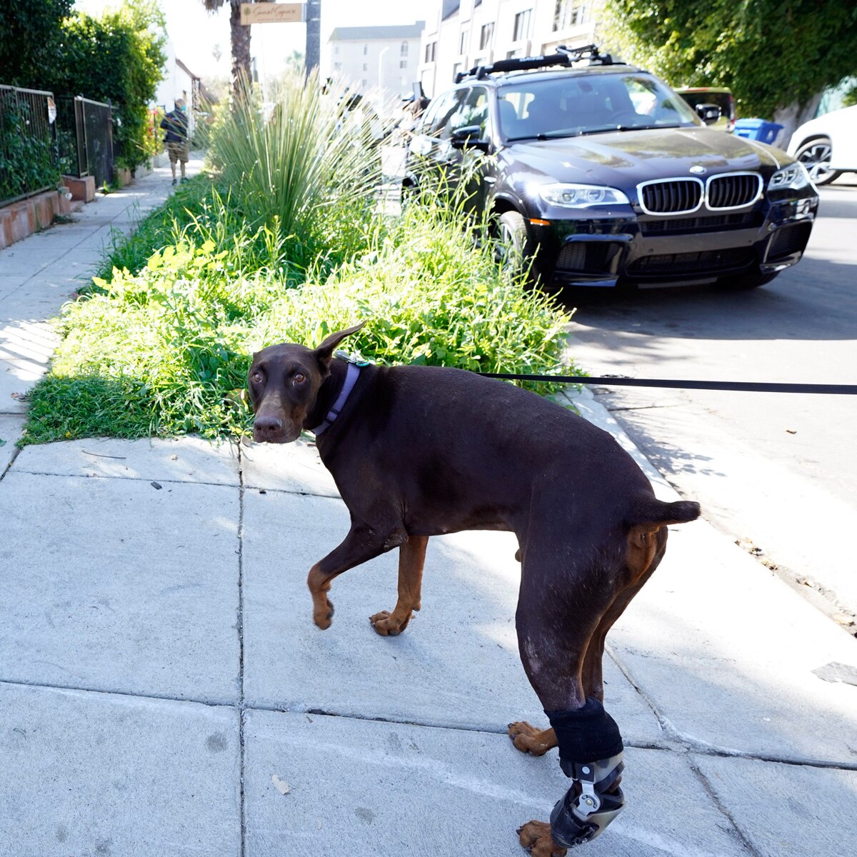 प्रतीकात्मक तस्वीर