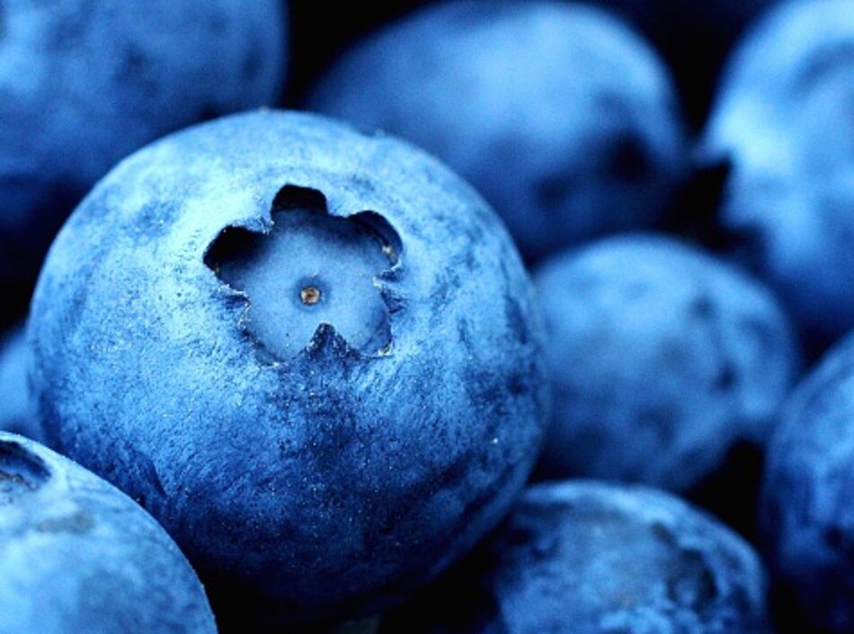 ब्लूबैरी के फायदे