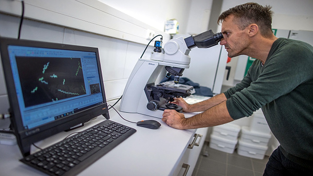 Australia Flesh Eating Disease Buruli Ulcer