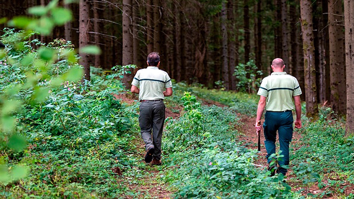Australia Flesh Eating Disease Buruli Ulcer