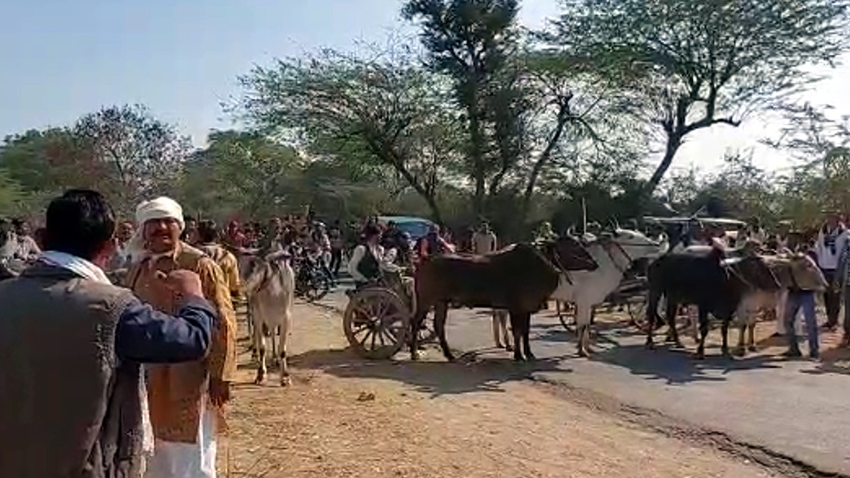 बैलगाड़ी रेस देखने पहुंचे हज़ारों किसान, पीछे दौड़ रहीं थी बाइक 