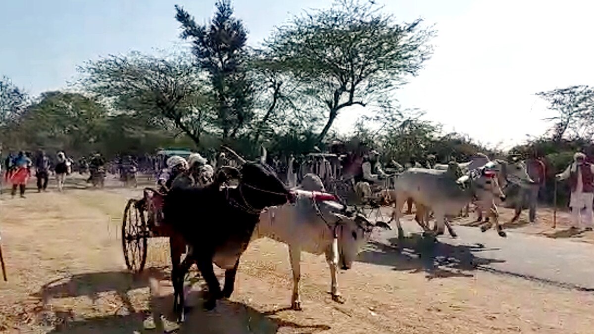 बैलगाड़ी रेस देखने पहुंचे हज़ारों किसान, पीछे दौड़ रहीं थी बाइक 