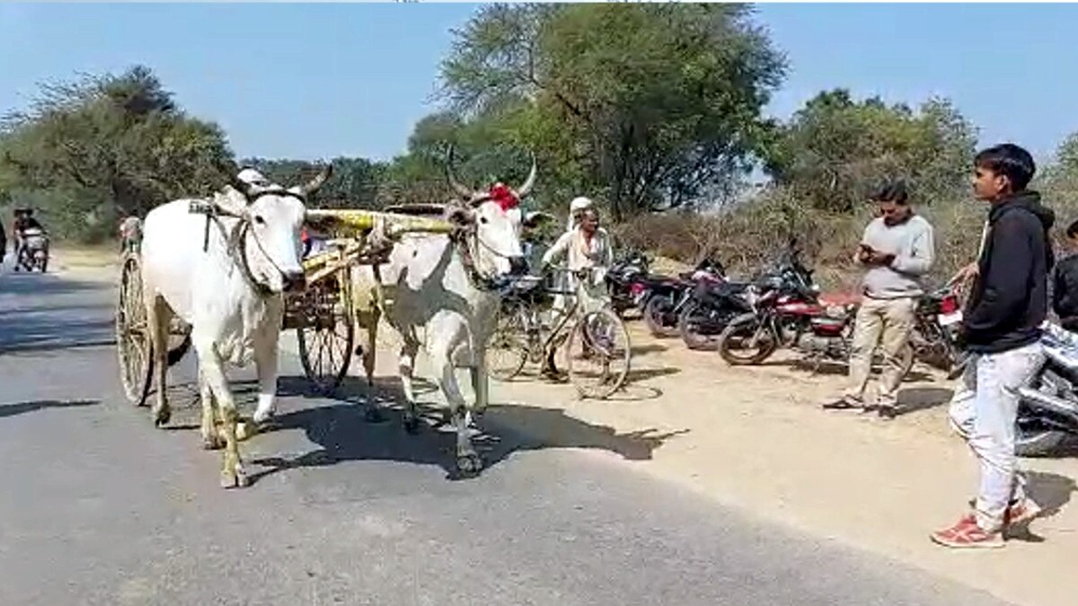 बैलगाड़ी रेस देखने पहुंचे हज़ारों किसान, पीछे दौड़ रहीं थी बाइक 