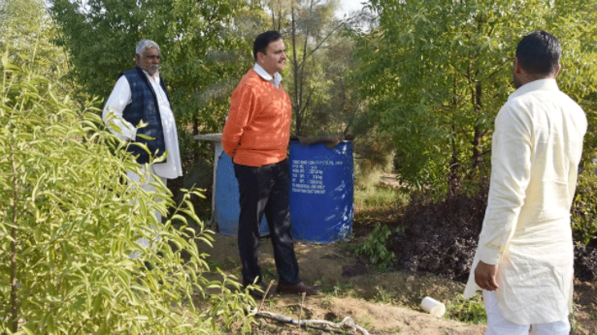 हरियाणा में भी होगी चंदन की खेती (फोटो आजतक)