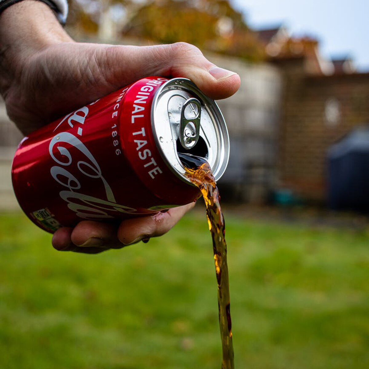 प्रतीकात्मक तस्वीर