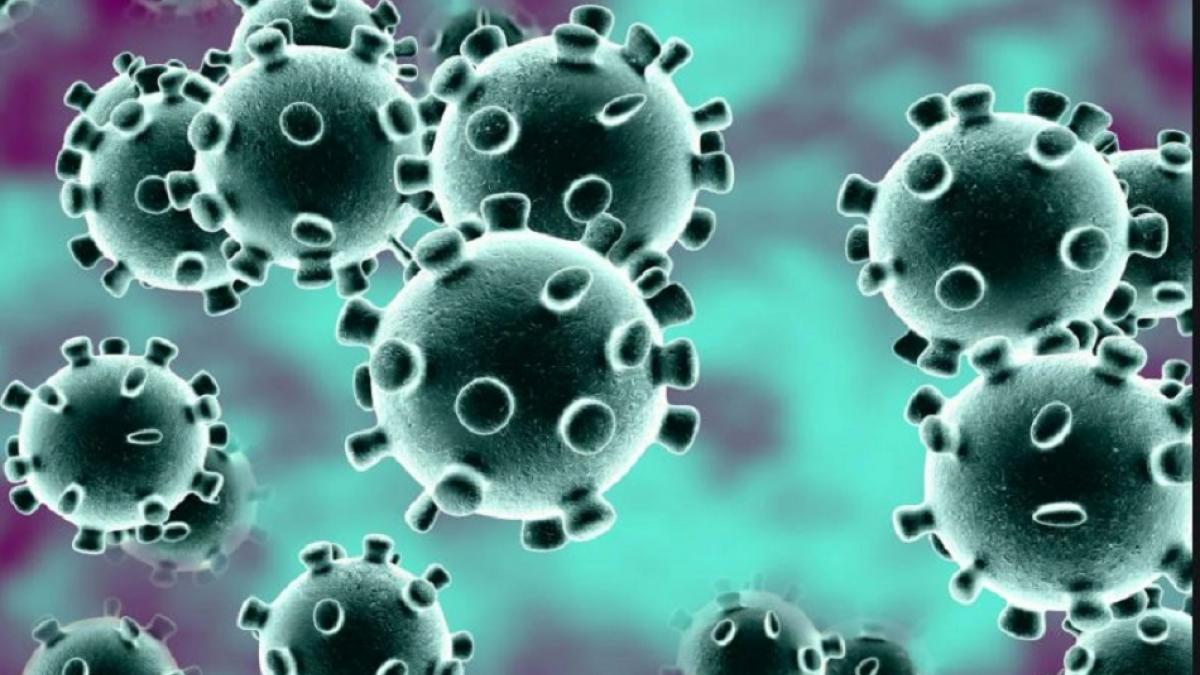  कोरोना की रफ्तार पर ब्रेक