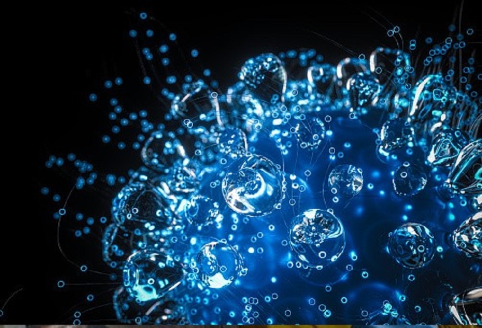 कोरोना वायरस