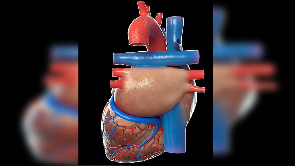 Covid-19 women Patients higher risk of dying after cardiac arrest