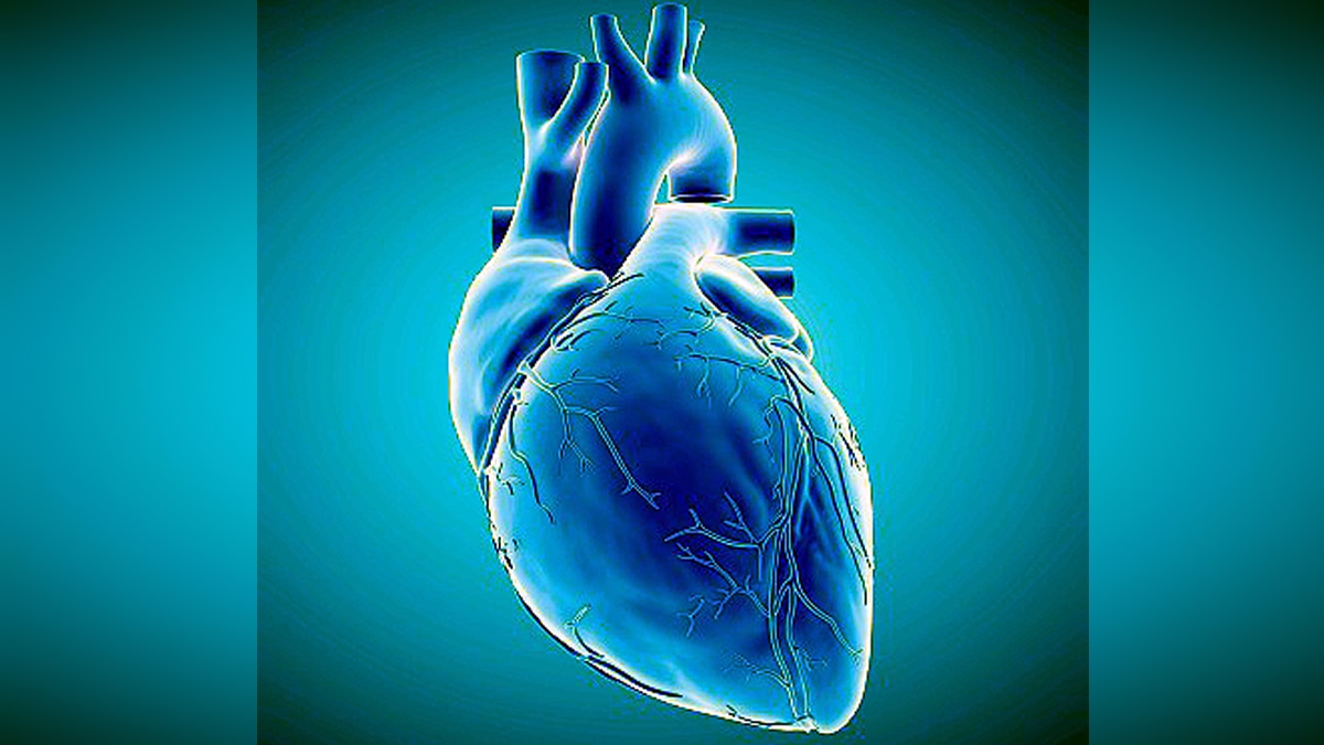 Covid-19 women Patients higher risk of dying after cardiac arrest