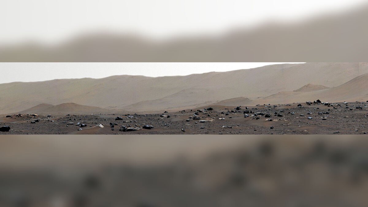 Perseverance Landing Site 360 degree Panorama Image