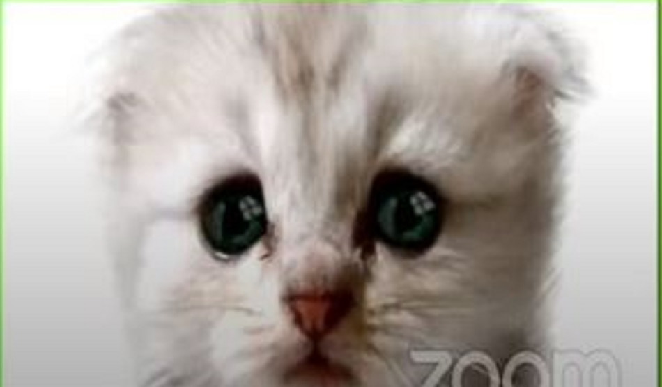 जब वकील को जज से कहना पड़ा