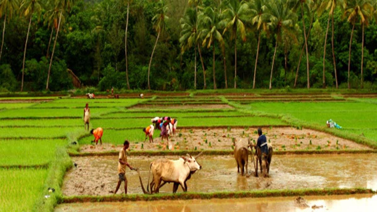 फसल बीमा योजना के लिए बजट में बढ़ोतरी
