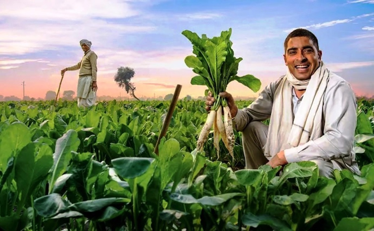 उपज का बेहतर दाम 