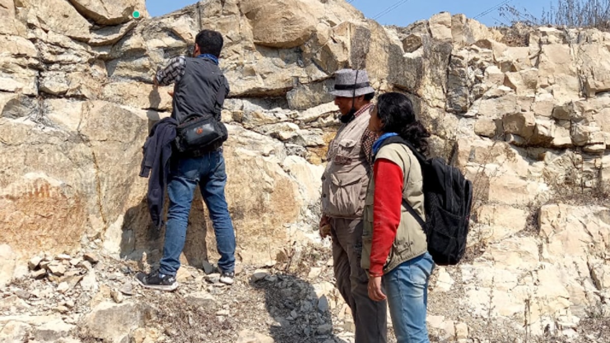 भू-वैज्ञानिक का दावा है कि यहां मिला जीवाश्म अब तक का सबसे पुराना जीवाश्म.