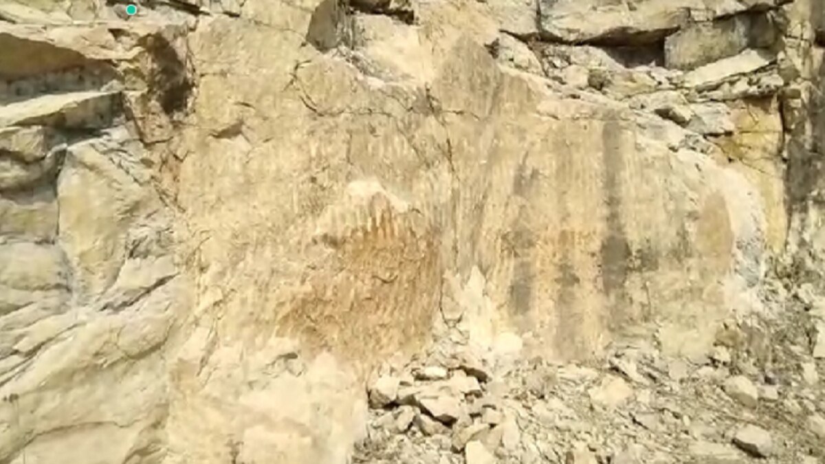 सलखन फॉसिल्स पार्क (160 करोड़ वर्ष) से भी लगभग पंद्रह साल पुराना हो सकता है.