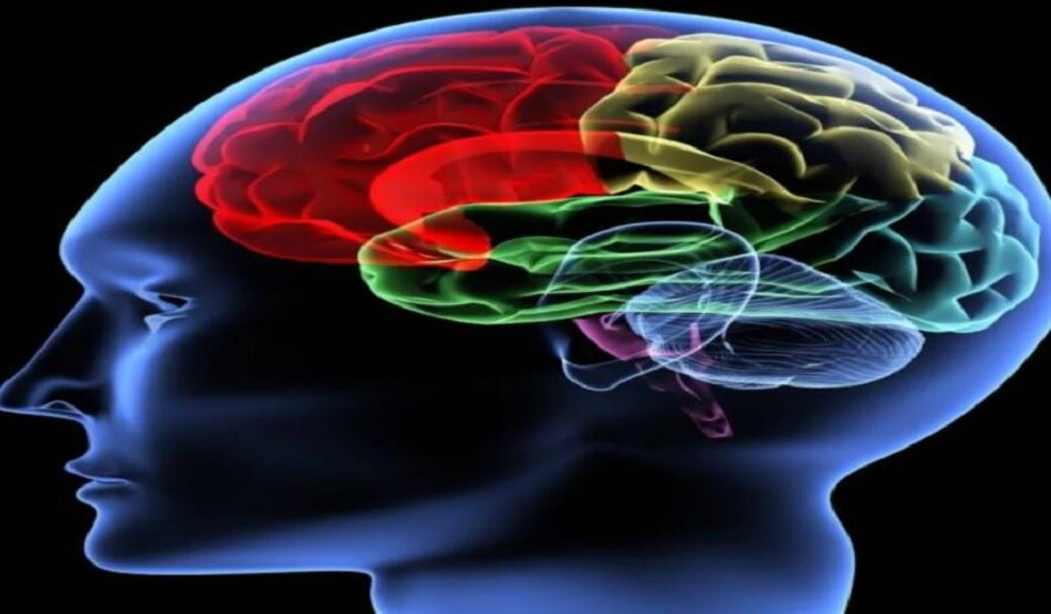 कोरोना से जंग 