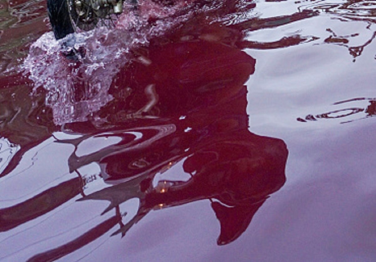 इंडोनेशिया के इस गांव में खूनी बाढ़