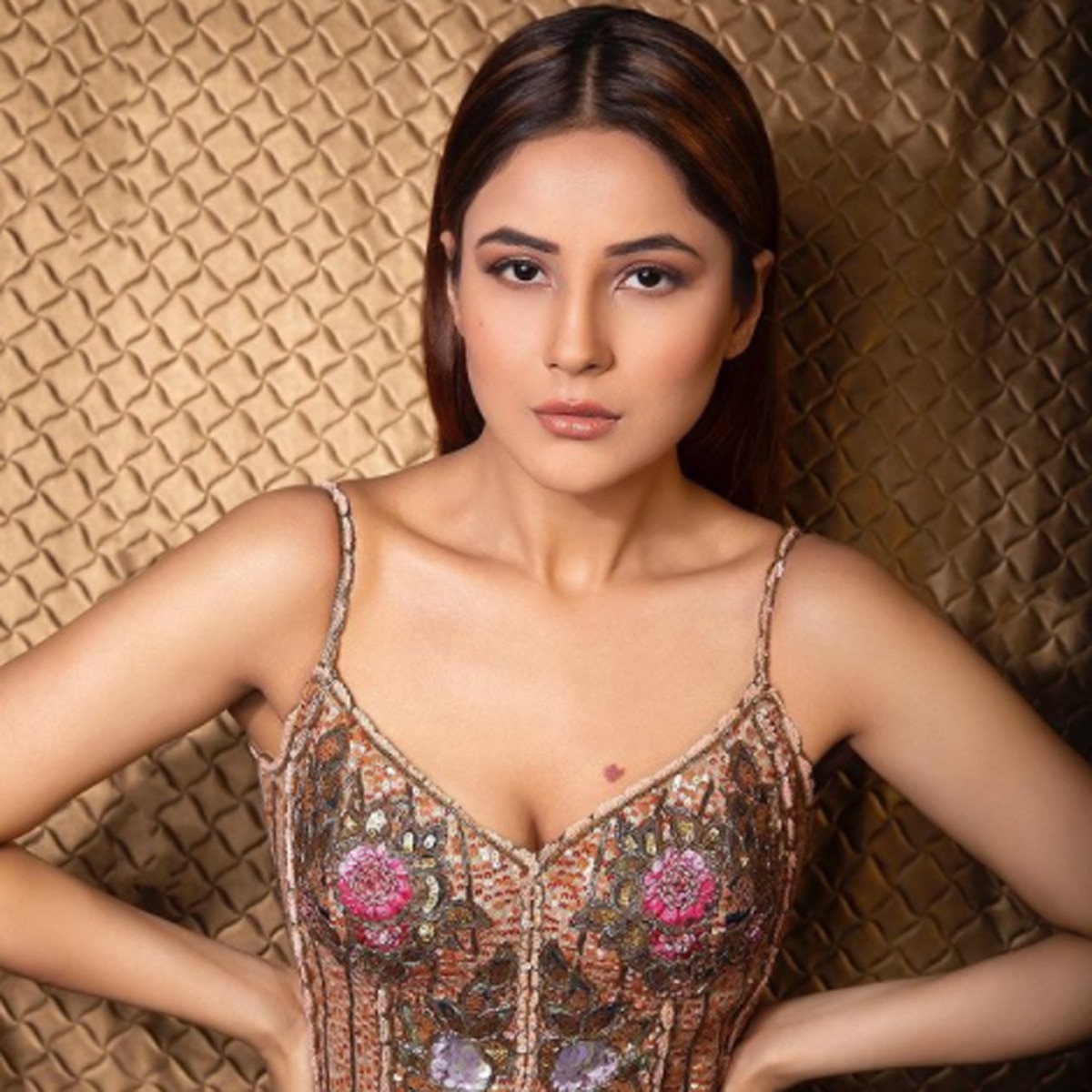 शहनाज गिल