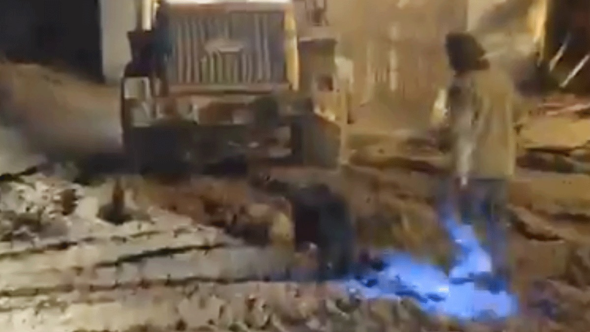 कुत्ता सुरंग के बाहर 3 दिन से कर रहा अपने मालिकों का इंतजार (फोटो वायरल वीडियो ग्रैब)