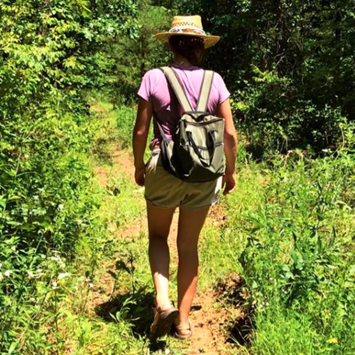 प्रतीकात्मक तस्वीर