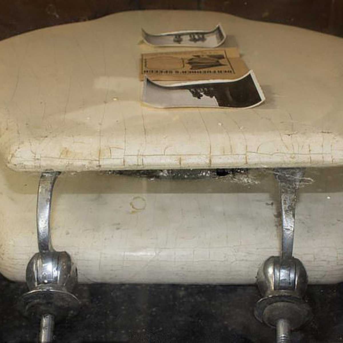 हिटलर की टॉयलेट सीट