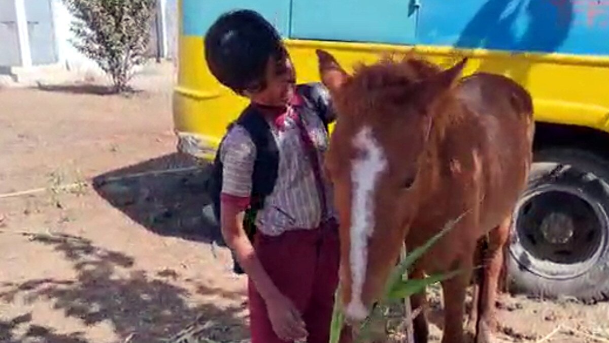 स्कूल बस बंद हुई तो नन्हा छात्र अपने घोड़े पर बैठ जाने लगा स्कूल 