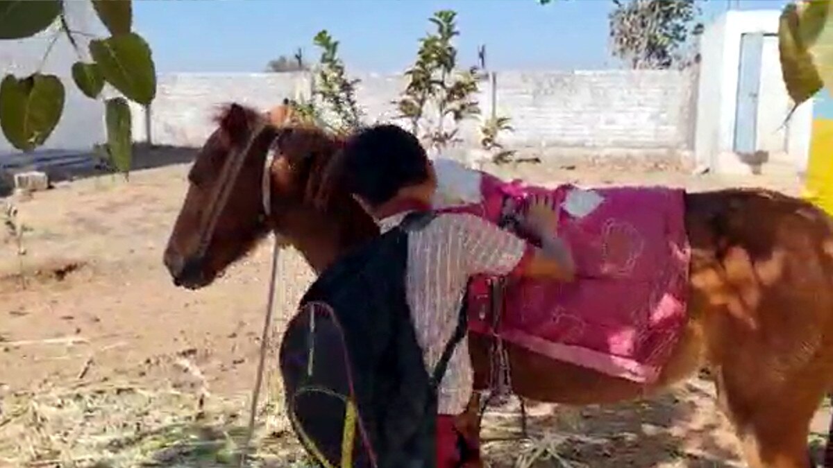 स्कूल बस बंद हुई तो नन्हा छात्र अपने घोड़े पर बैठ जाने लगा स्कूल 