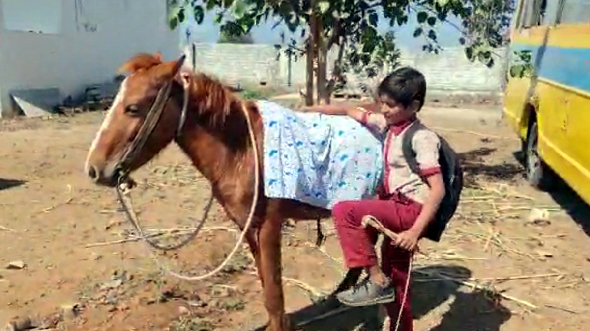 स्कूल बस बंद हुई तो नन्हा छात्र अपने घोड़े पर बैठ जाने लगा स्कूल 