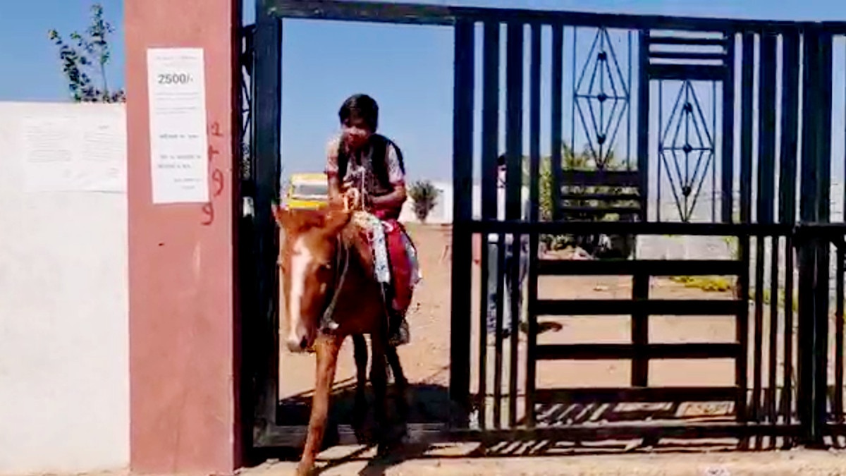 स्कूल बस बंद हुई तो नन्हा छात्र अपने घोड़े पर बैठ जाने लगा स्कूल 