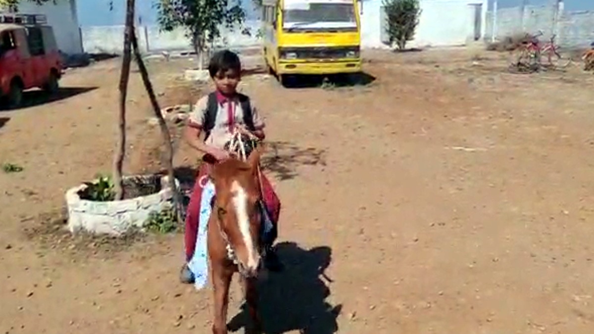 स्कूल बस बंद हुई तो नन्हा छात्र अपने घोड़े पर बैठ जाने लगा स्कूल 
