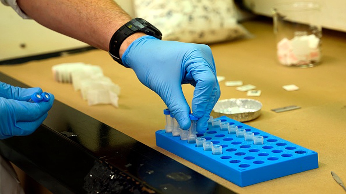 Horse Tranquilizer is new drug in US