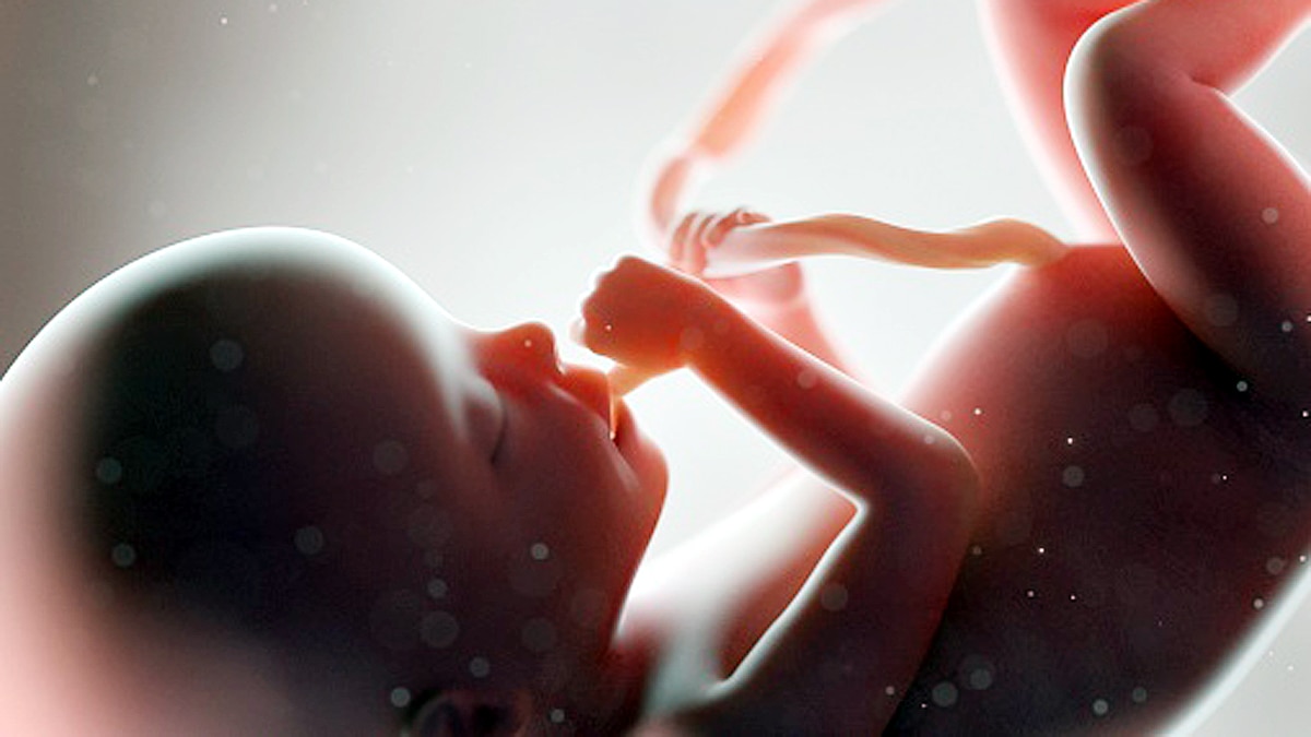 Unborn receive corona antibody from womb