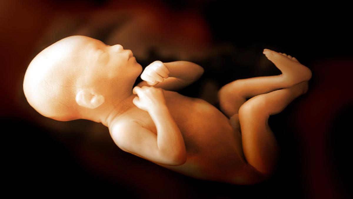 Unborn receive corona antibody from womb