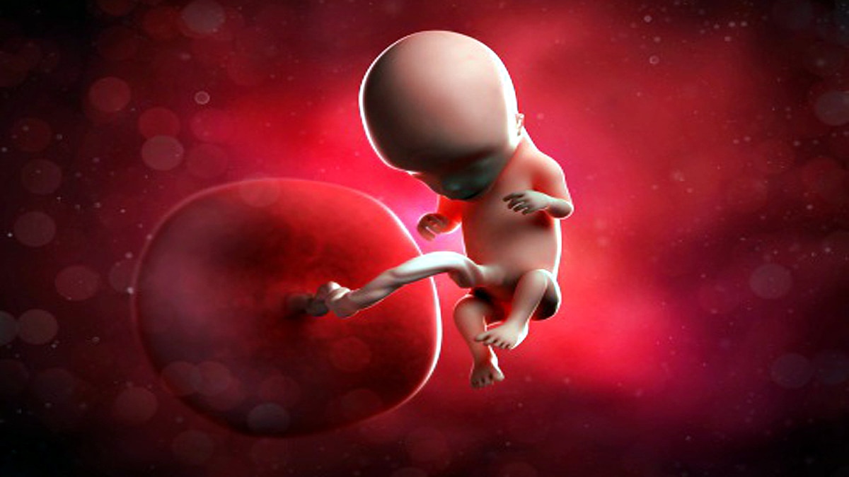 Unborn receive corona antibody from womb