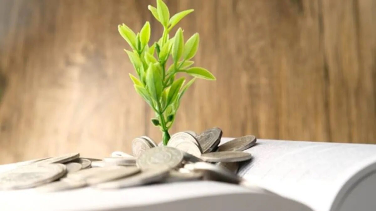 Small Caps और Mid Caps फंड्स निवेश का बेहतर विकल्प?