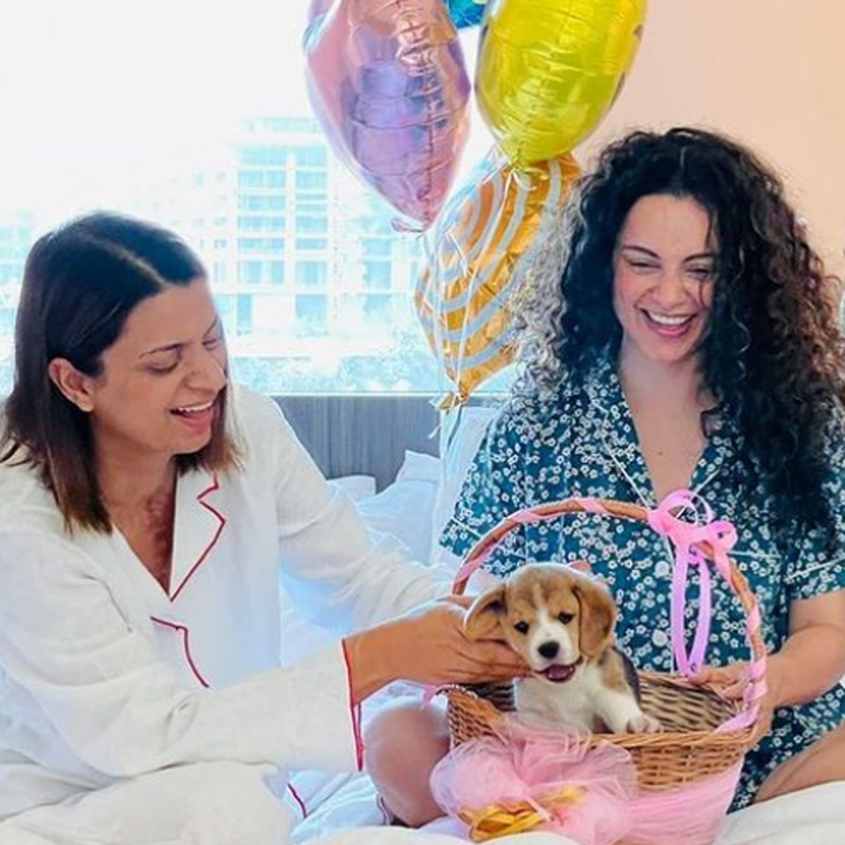 कंगना रनौत-रंगोली चंदेल 