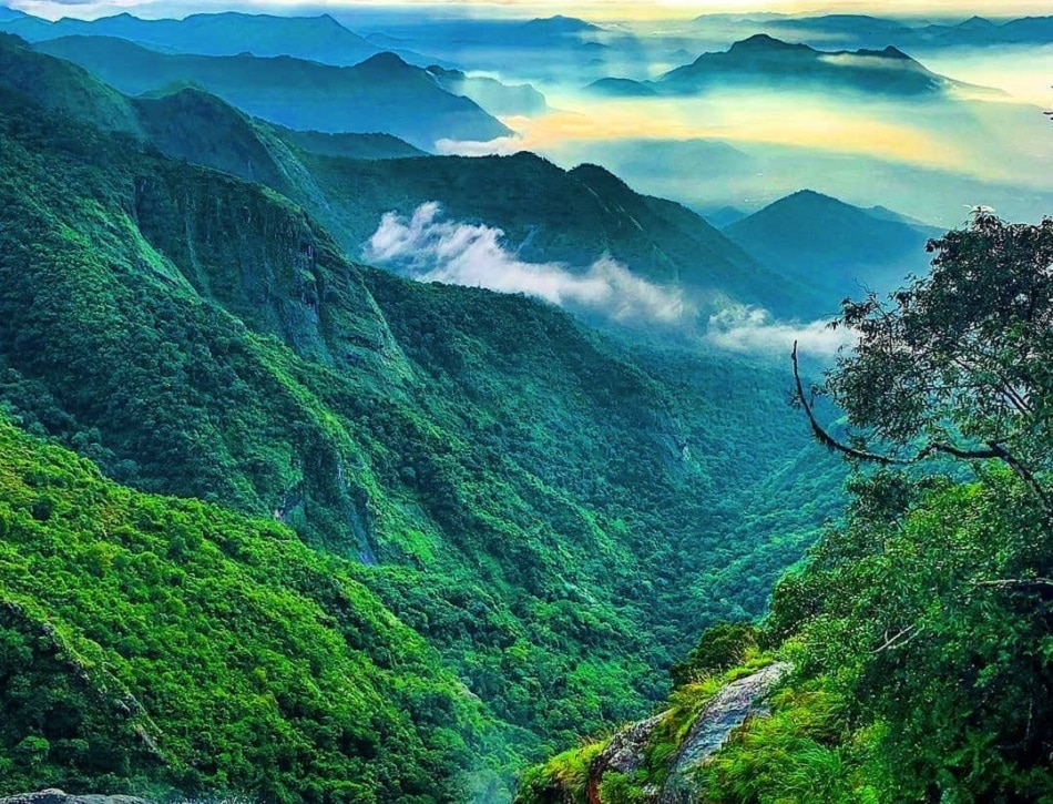 कोडाईकनाल, तमिलनाडु