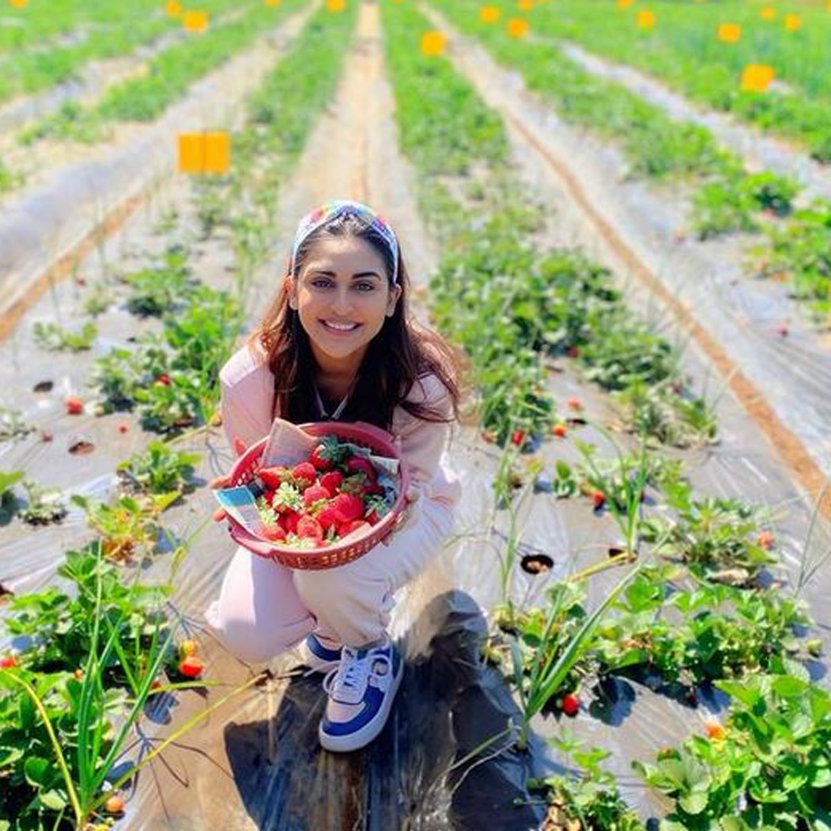 क्रिस्टल