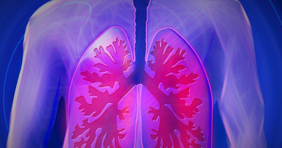 फेफड़ों और दिल को नुकसान
