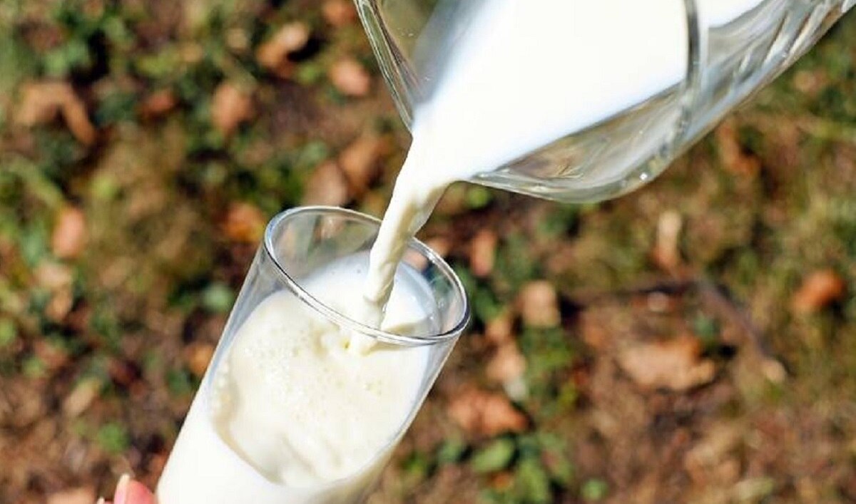 पंचायत का फैसला, पेट्रोल के भाव के बराबर बेचा जाएगा दूध