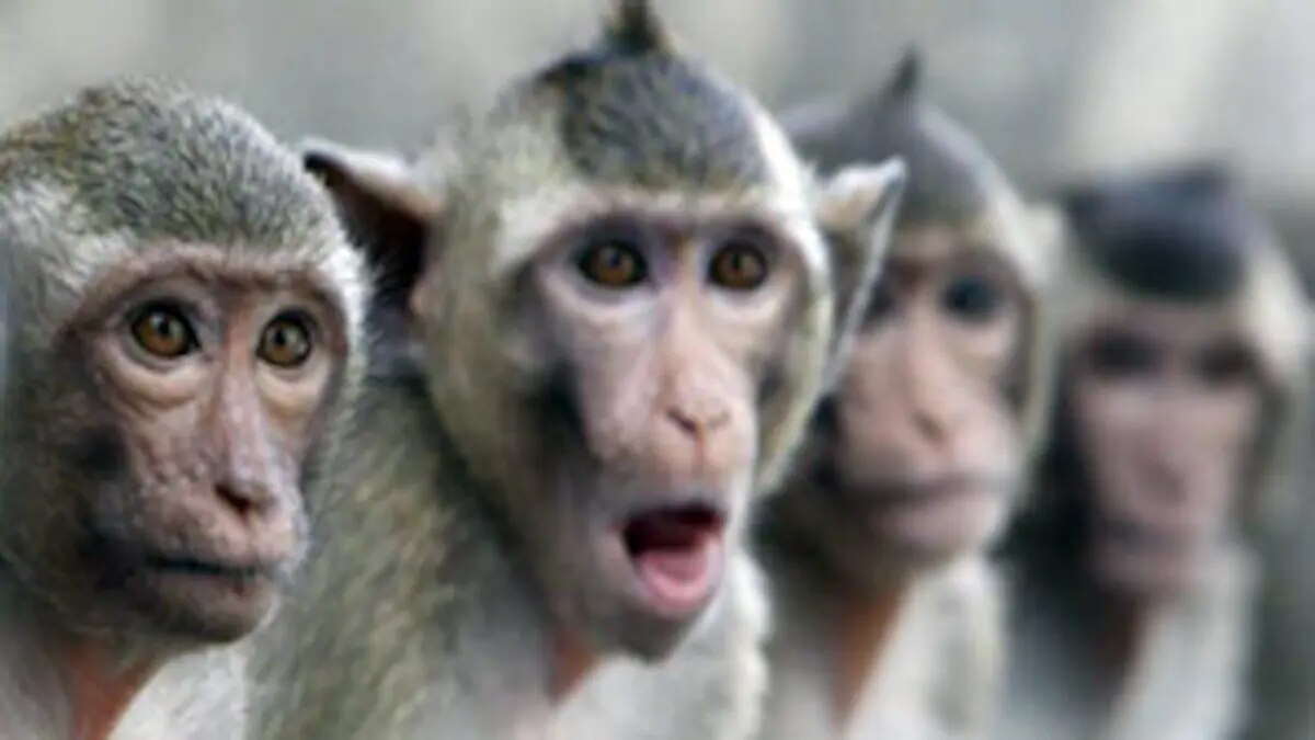 बुवनेश्वरी नाम की महिला 8 दिन पहले दो जुड़वां बच्चियों को जन्म दिया था.