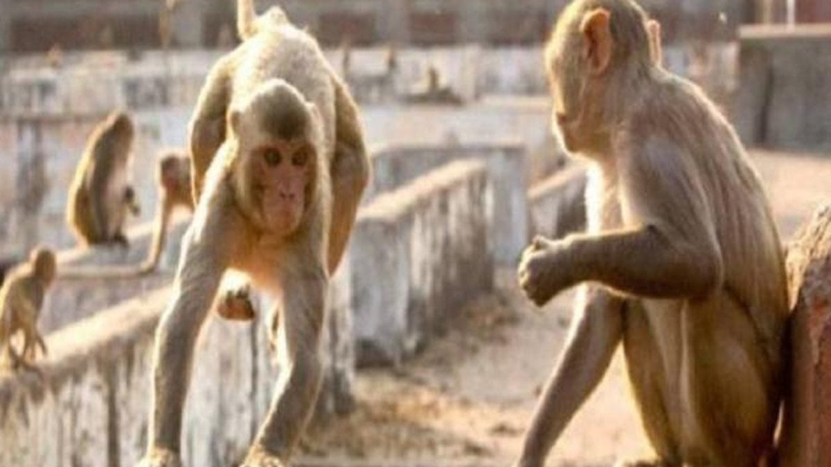 मामले की सूचना मिलते ही पुलिस ने जांच शुरू की.