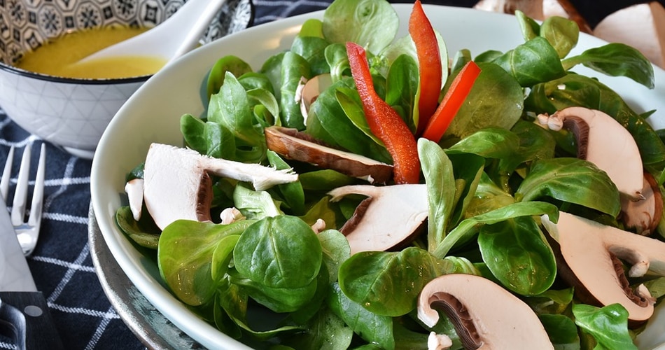 प्लांट फूड्स ज्यादा खाना