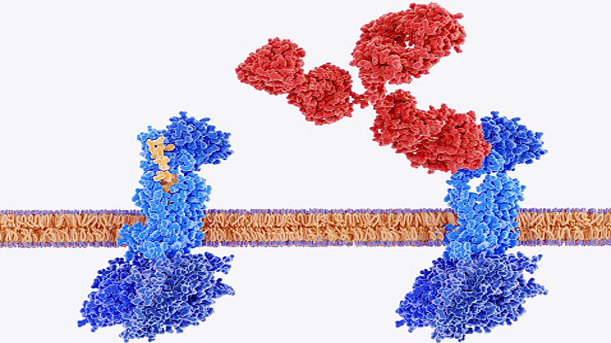 Targeting Nsp1 protein pathway Corona Therapy 