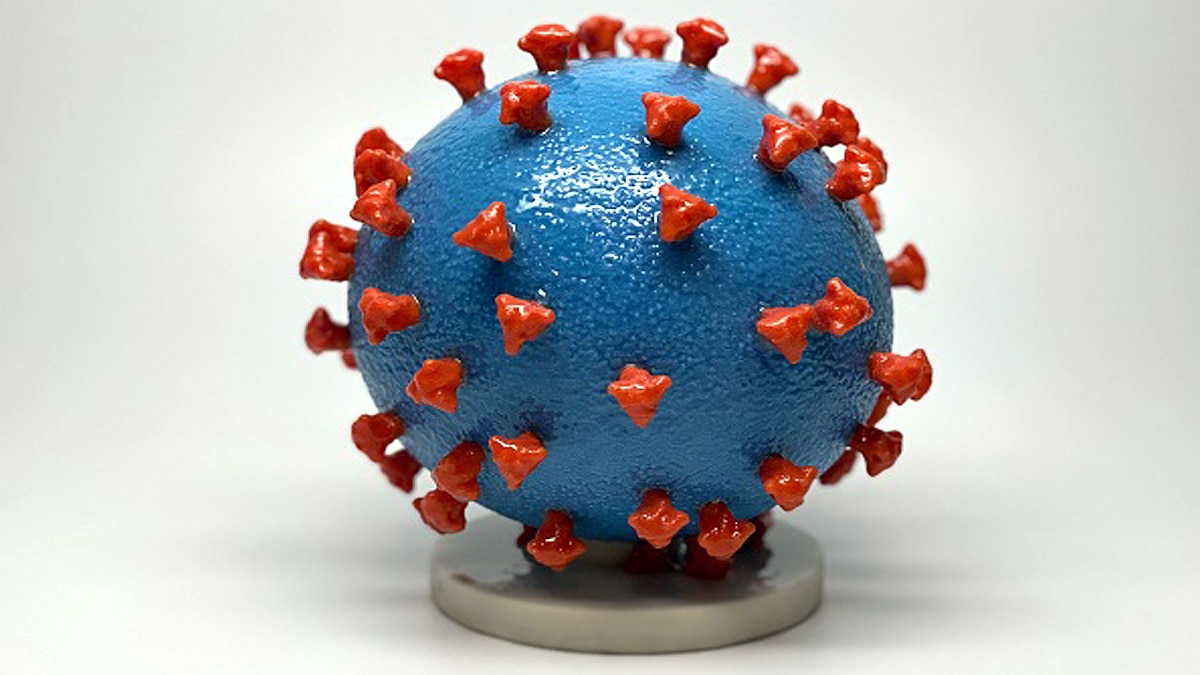 Targeting Nsp1 protein pathway Corona Therapy 