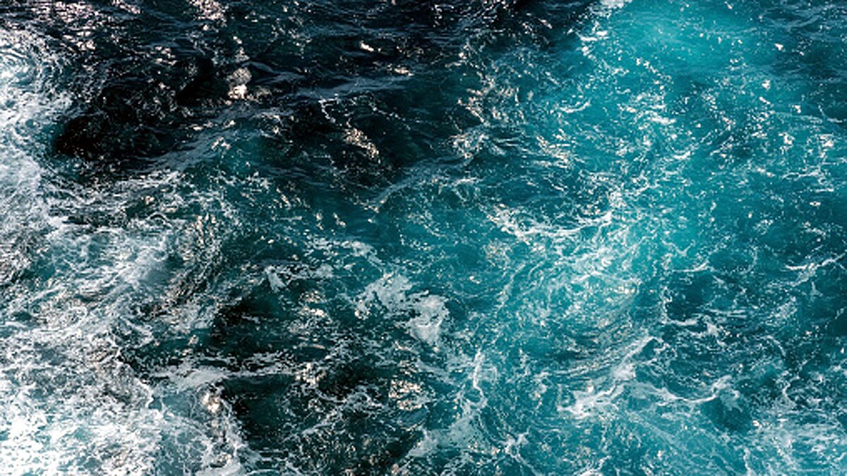 Vidam Perevertilov Survives in Pacific Ocean by Garbage