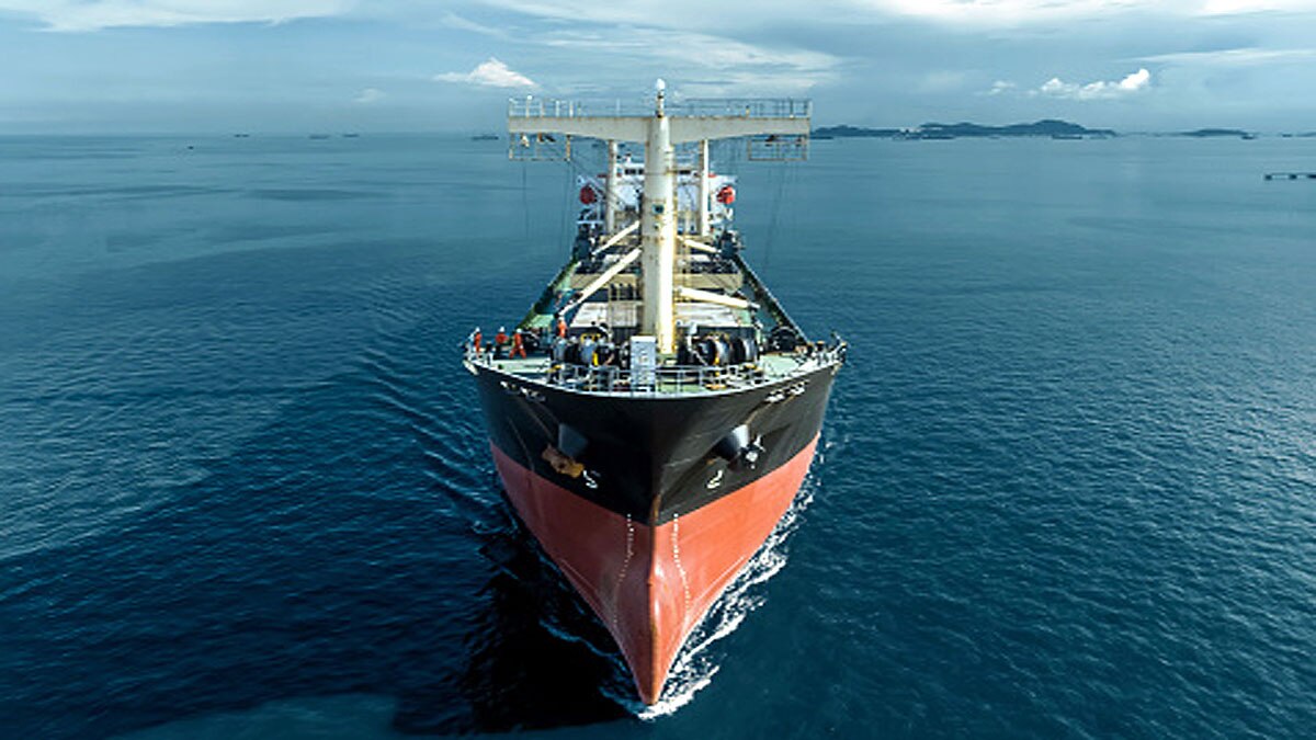 Vidam Perevertilov Survives in Pacific Ocean by Garbage